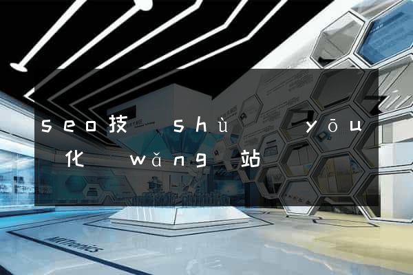 seo技術(shù)優(yōu)化網(wǎng)站