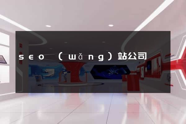 seo網(wǎng)站公司