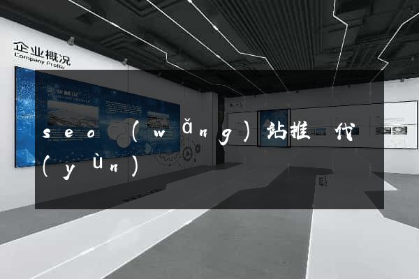 seo網(wǎng)站推廣代運(yùn)營