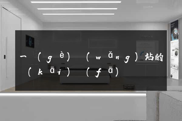 一個(gè)網(wǎng)站的開(kāi)發(fā)