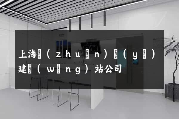 上海專(zhuān)業(yè)建網(wǎng)站公司
