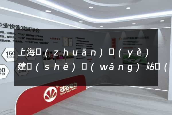 上海專(zhuān)業(yè)建設(shè)網(wǎng)站設(shè)計(jì)