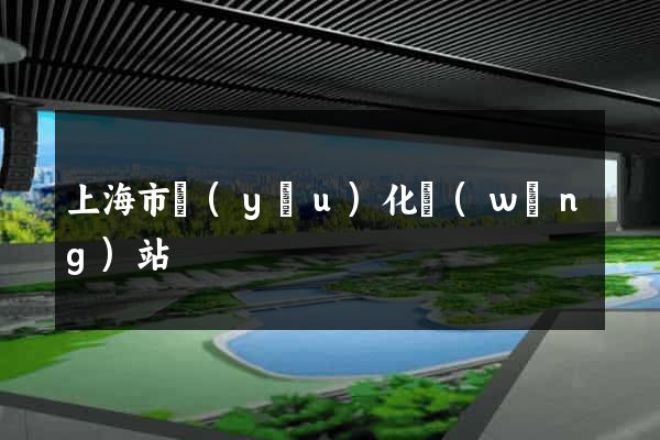 上海市優(yōu)化網(wǎng)站