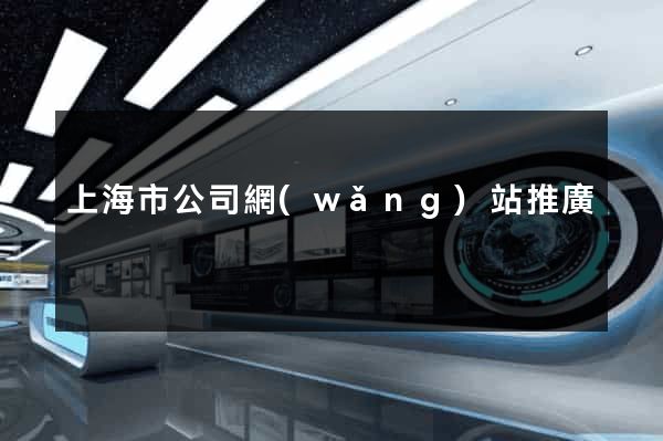 上海市公司網(wǎng)站推廣