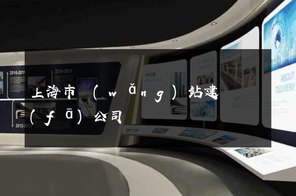 上海市網(wǎng)站建設開發(fā)公司