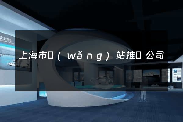 上海市網(wǎng)站推廣公司