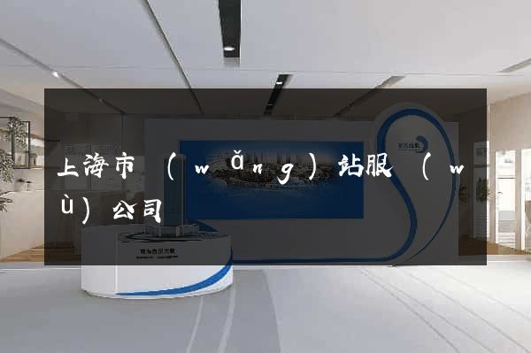 上海市網(wǎng)站服務(wù)公司