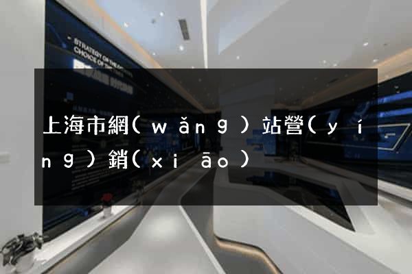 上海市網(wǎng)站營(yíng)銷(xiāo)