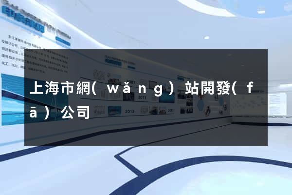 上海市網(wǎng)站開發(fā)公司