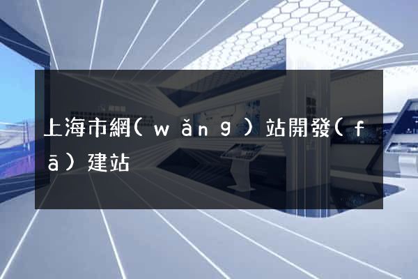 上海市網(wǎng)站開發(fā)建站