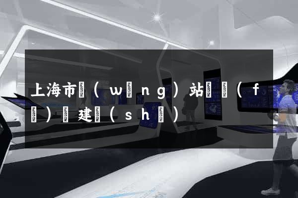 上海市網(wǎng)站開發(fā)與建設(shè)
