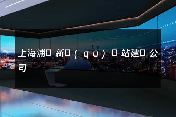 上海浦東新區(qū)網站建設公司