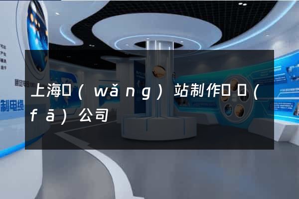 上海網(wǎng)站制作開發(fā)公司