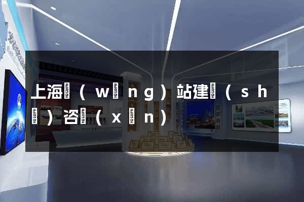 上海網(wǎng)站建設(shè)咨詢(xún)