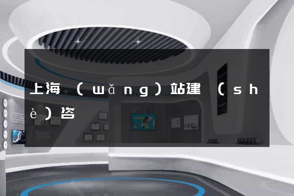 上海網(wǎng)站建設(shè)咨詢