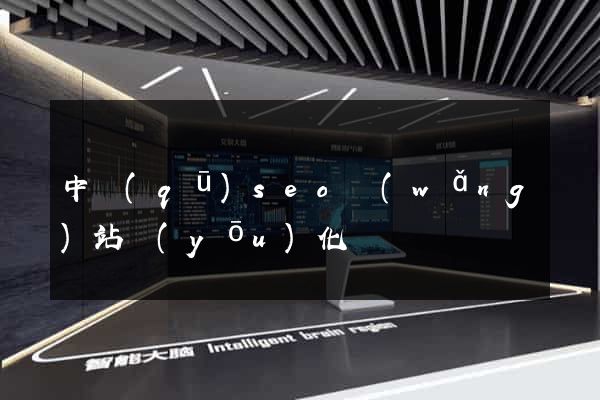 中區(qū)seo網(wǎng)站優(yōu)化