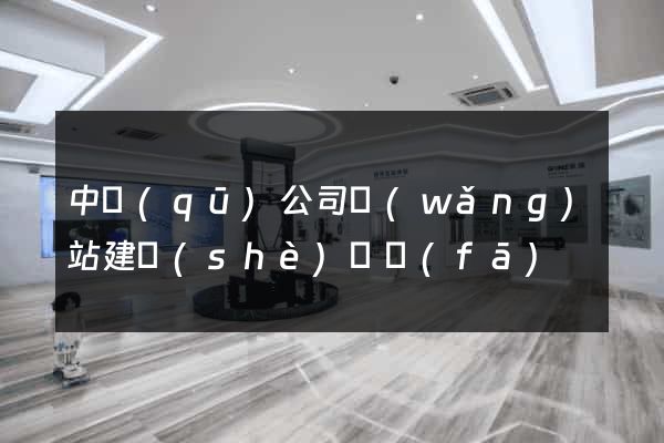 中區(qū)公司網(wǎng)站建設(shè)開發(fā)