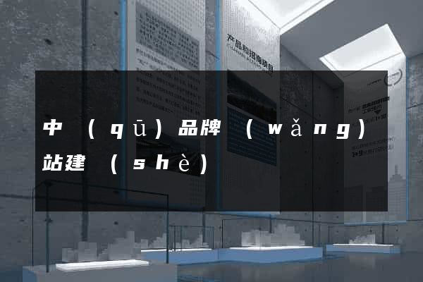 中區(qū)品牌網(wǎng)站建設(shè)