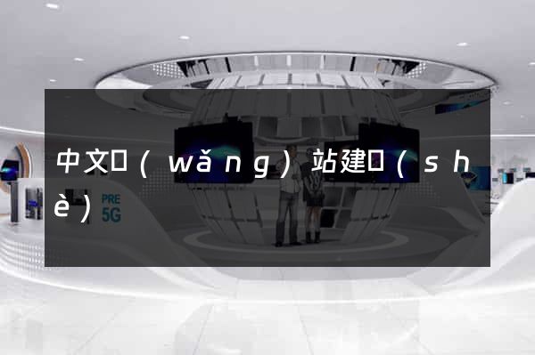 中文網(wǎng)站建設(shè)