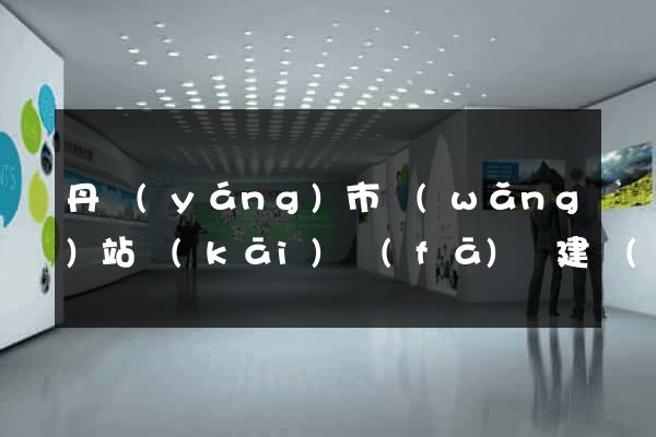 丹陽(yáng)市網(wǎng)站開(kāi)發(fā)與建設(shè)