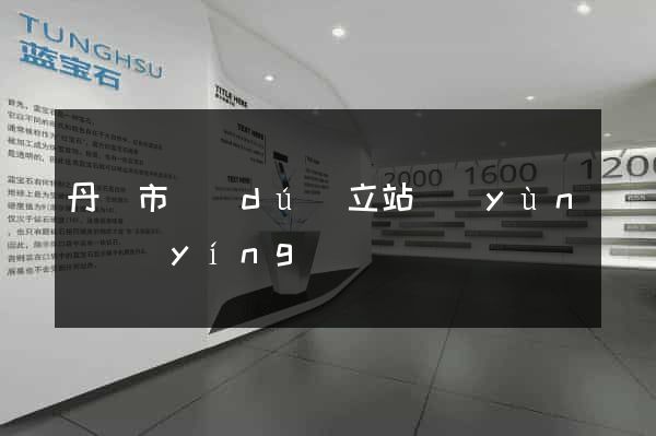 丹陽市獨(dú)立站運(yùn)營(yíng)