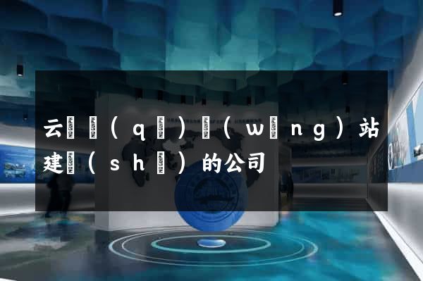 云龍區(qū)網(wǎng)站建設(shè)的公司