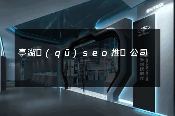 亭湖區(qū)seo推廣公司