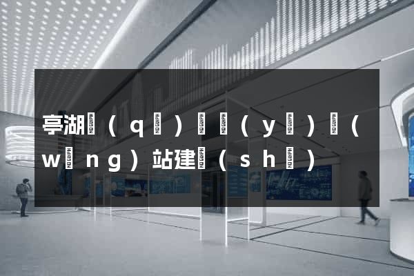 亭湖區(qū)專業(yè)網(wǎng)站建設(shè)