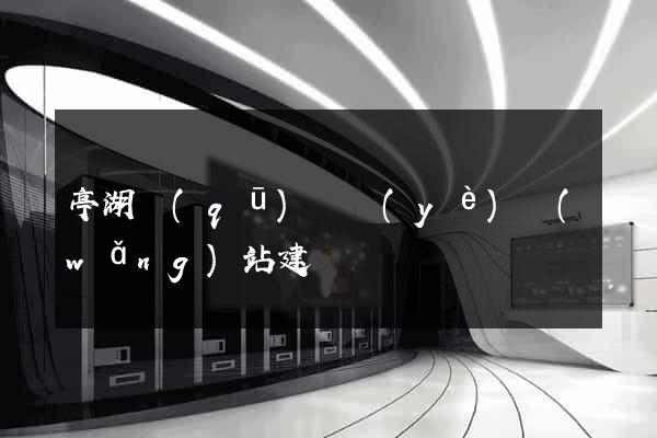 亭湖區(qū)專業(yè)網(wǎng)站建設