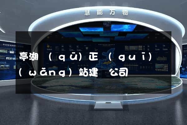 亭湖區(qū)正規(guī)網(wǎng)站建設公司