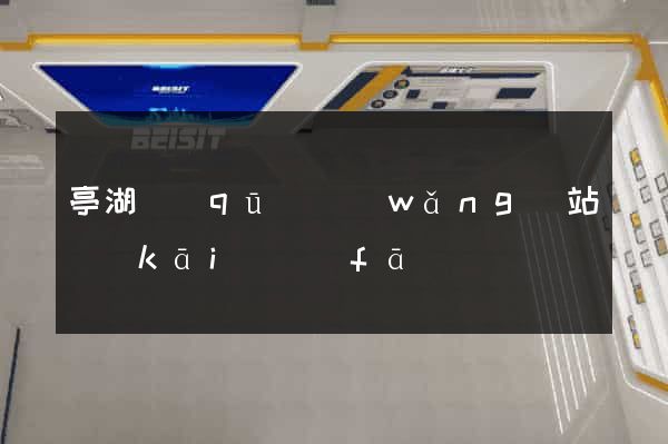 亭湖區(qū)網(wǎng)站開(kāi)發(fā)