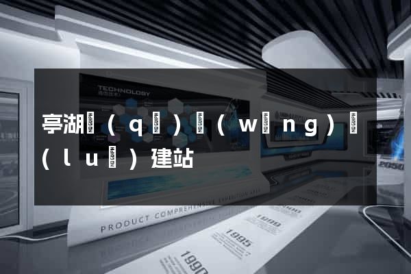 亭湖區(qū)網(wǎng)絡(luò)建站