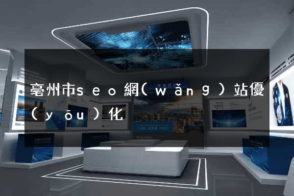 亳州市seo網(wǎng)站優(yōu)化
