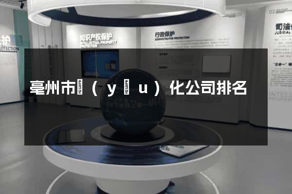 亳州市優(yōu)化公司排名
