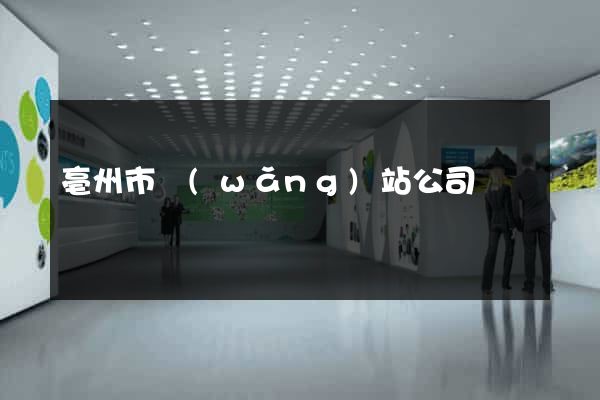 亳州市網(wǎng)站公司