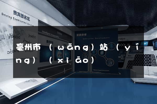 亳州市網(wǎng)站營(yíng)銷(xiāo)