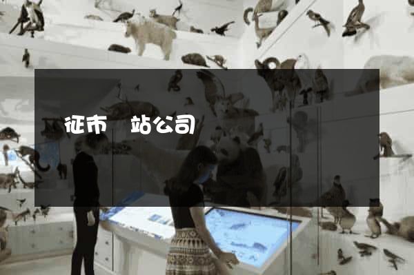 儀征市網站公司