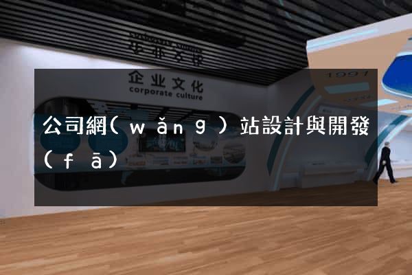 公司網(wǎng)站設計與開發(fā)