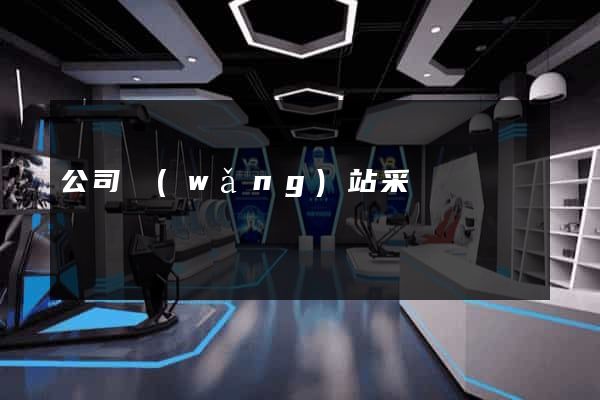 公司網(wǎng)站采購