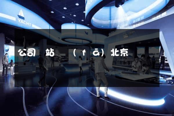 公司網站開發(fā)北京