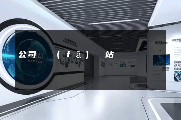 公司開發(fā)網站