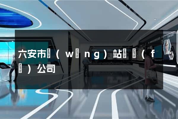 六安市網(wǎng)站開發(fā)公司