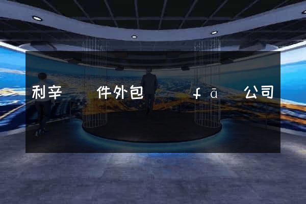 利辛縣軟件外包開發(fā)公司