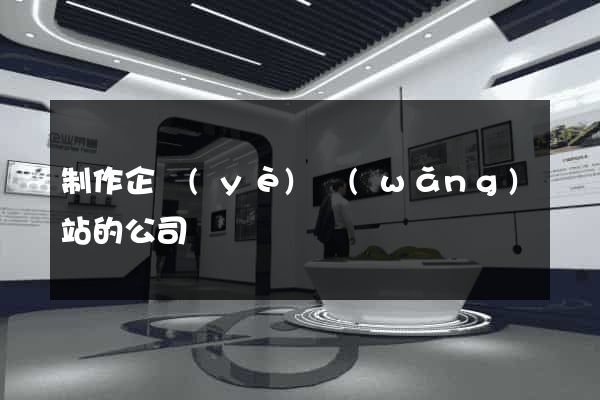 制作企業(yè)網(wǎng)站的公司
