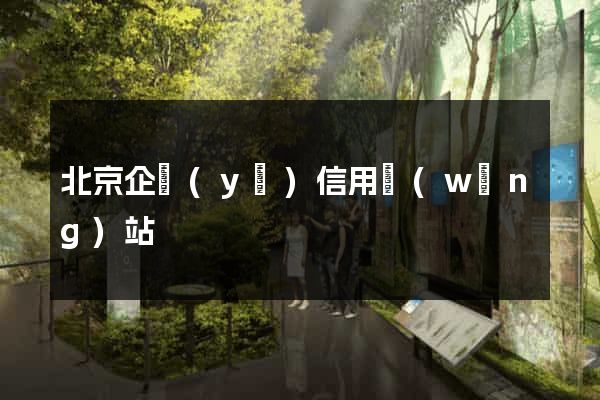 北京企業(yè)信用網(wǎng)站