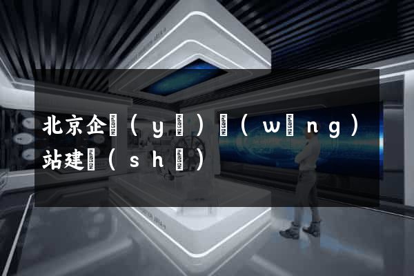 北京企業(yè)網(wǎng)站建設(shè)