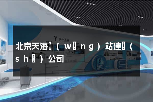 北京天海網(wǎng)站建設(shè)公司