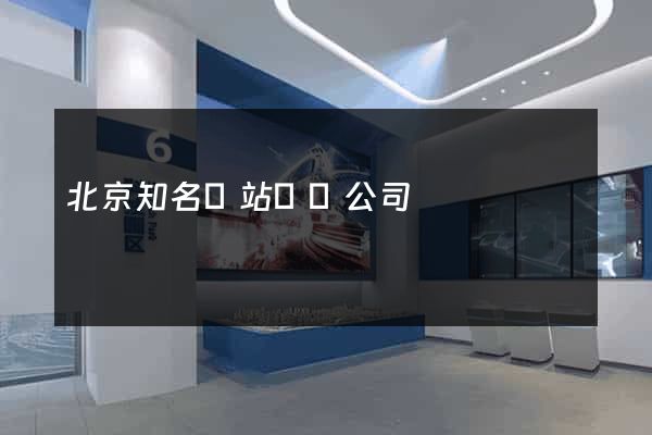 北京知名網站設計公司