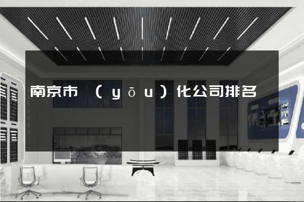 南京市優(yōu)化公司排名