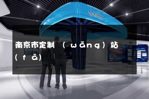 南京市定制網(wǎng)站開發(fā)
